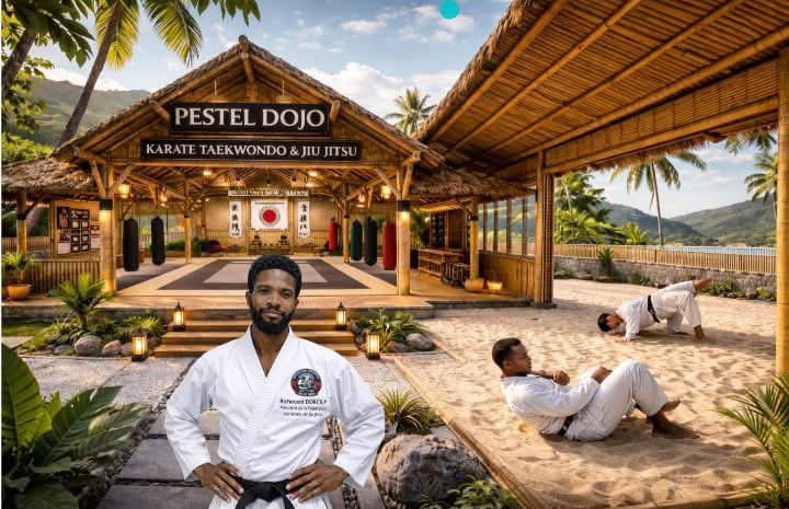Pestel Dojo